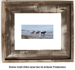 horse trail rides near me in Athens, Tennessee